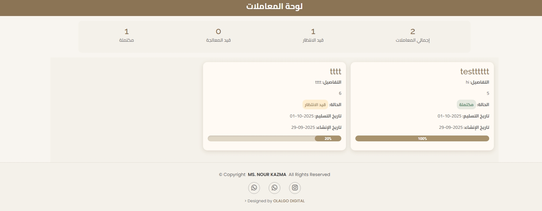 Website Preview – Nour Kazma